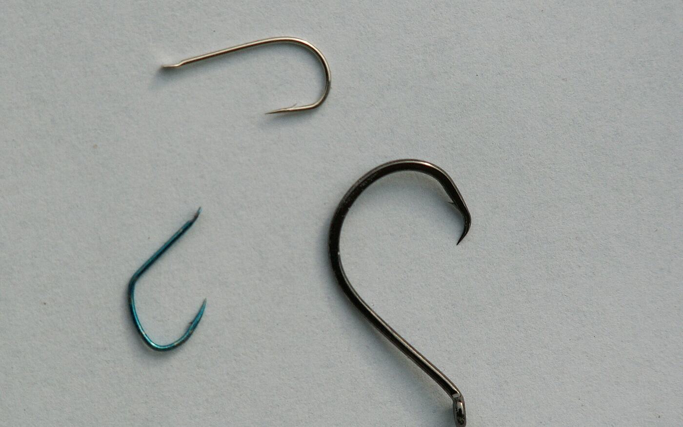 Lookalike domains: how to spot phishing emails that copy someone you trust
